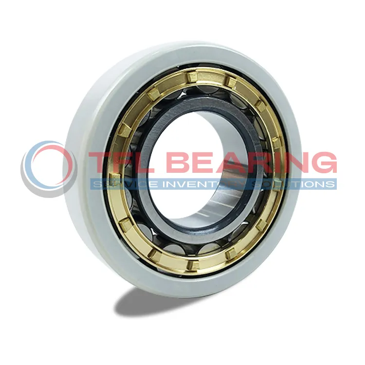 FAG Current-Insulated Single Row Cylindrical Roller Bearing NU1034-XL-M1-J20AA-C3